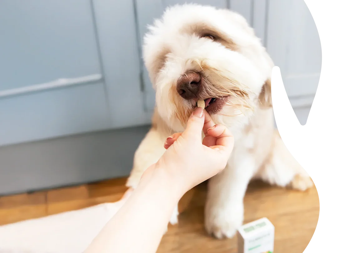 Healthy Joints, Happy Tails